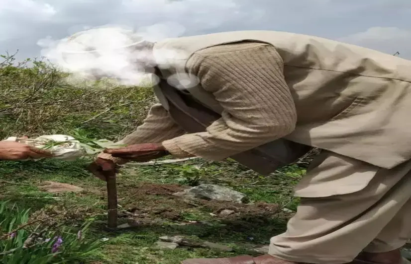 Medicinal plants in Kashmir on verge of extinction
