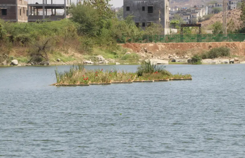 Floating island rejuvenates Neknampur lake