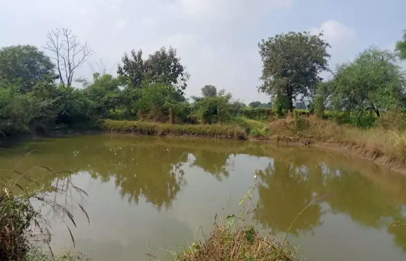 Farmers in MP village channel rainwater to turn marshland into irrigation pond