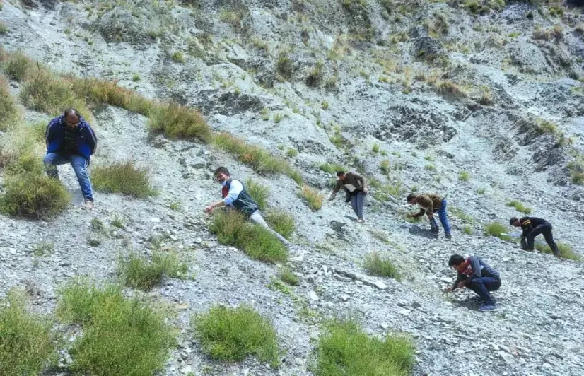 Seeds of Hope: Can bamboo turn this former firing range green again?