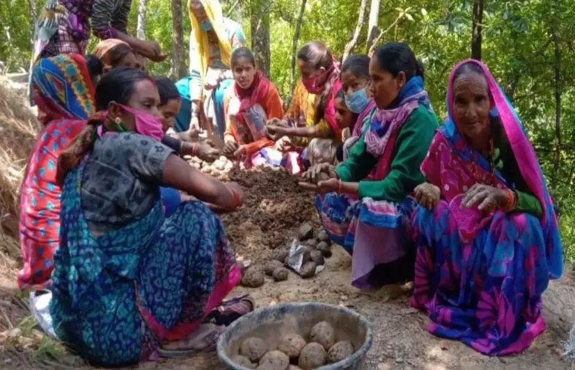 To protect crops from wild animals, Uttarakhand’s villagers are 'seed bombing' forests 