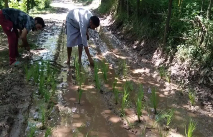 Kashmiri villagers stage unique protest for pucca road