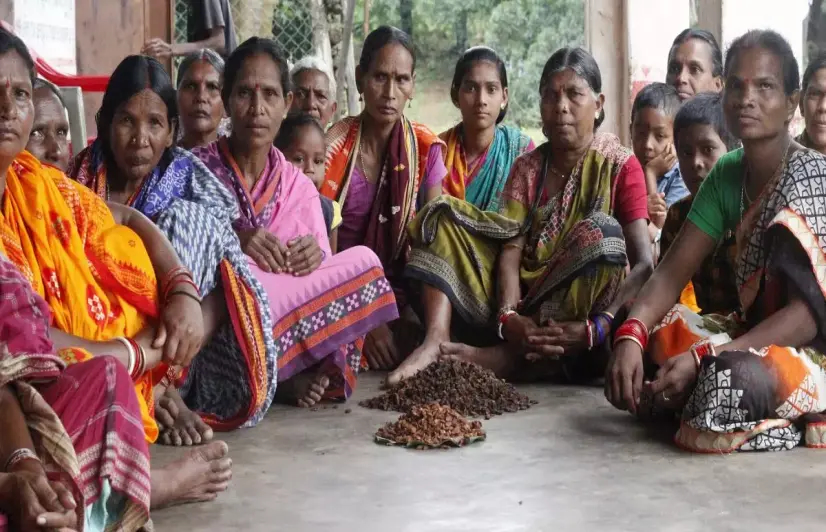 Mahua in full bloom, but women flower collectors in a state of gloom