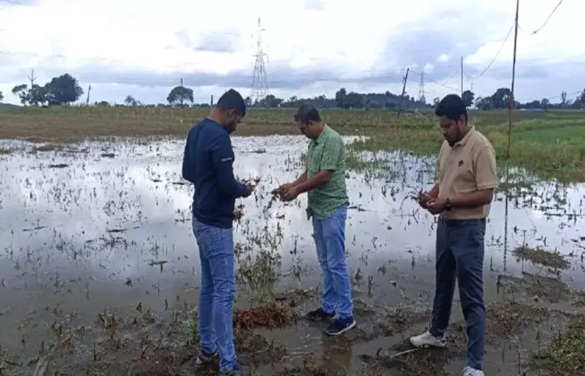 Ratlam farmers still await insurance payouts for crop loss incurred years ago