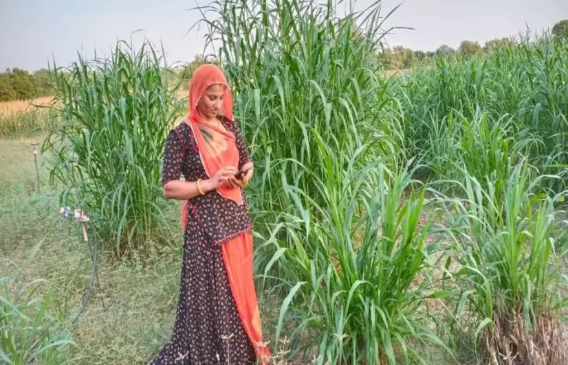 Rural women in Rajasthan pave the way for farming innovations, higher income