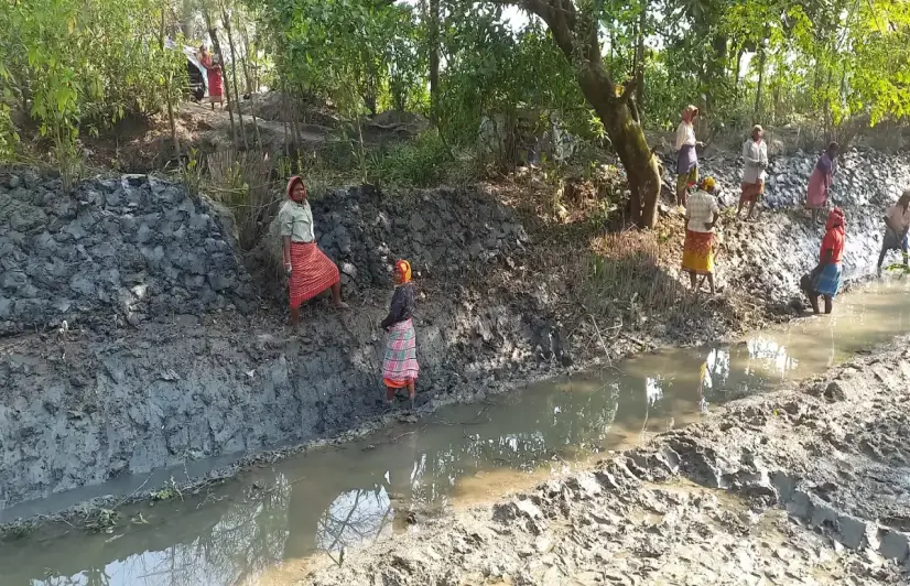 Unable to find work under MGNREGA, women pushed to fringes in West Bengal 