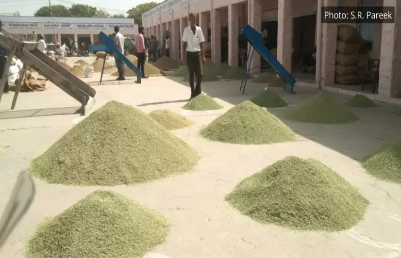 Food processing units in Rajasthan attract prospects, profits for farmers