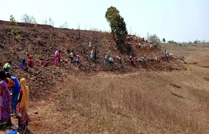 Moving earth and water: Farms in MP turn fertile with groundwater revival