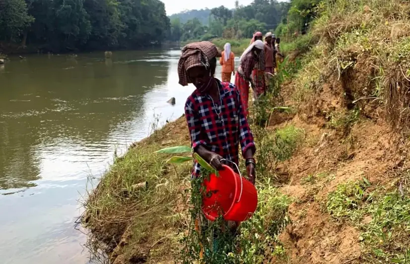 To prevent further devastation from floods, Kerala’s Wayanad turns to bamboo