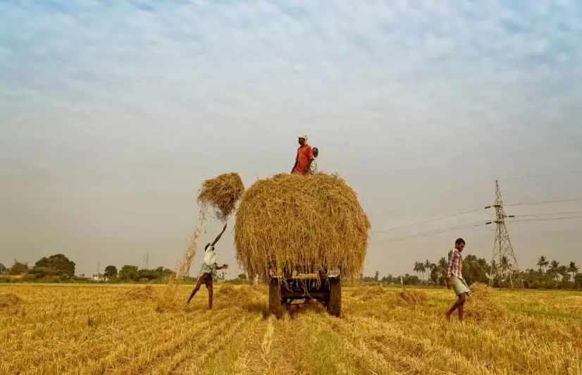 Poor monsoon sows seeds of distress, migration in Jharkhand