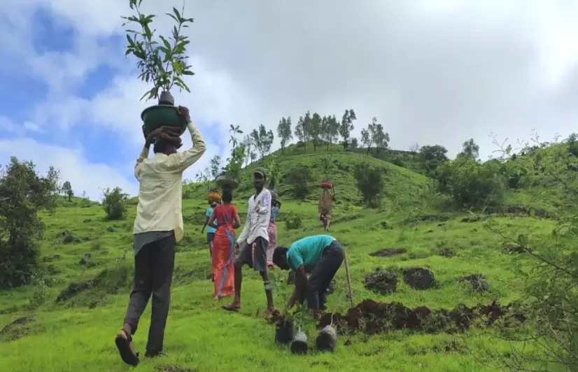 Maharashtra village takes afforestation up a notch