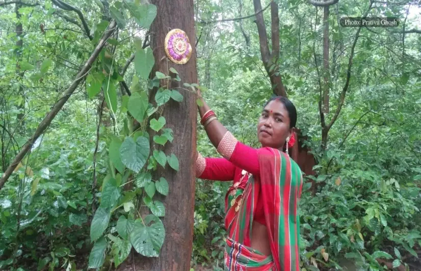 Mayurbhanj’s tribal communities bind with the best, tie rakhis to trees