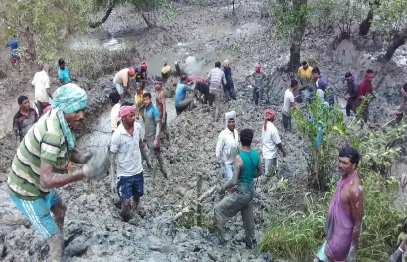 Sundarbans in eye of the storm as Centre, State tussle stalls MGNREGA work