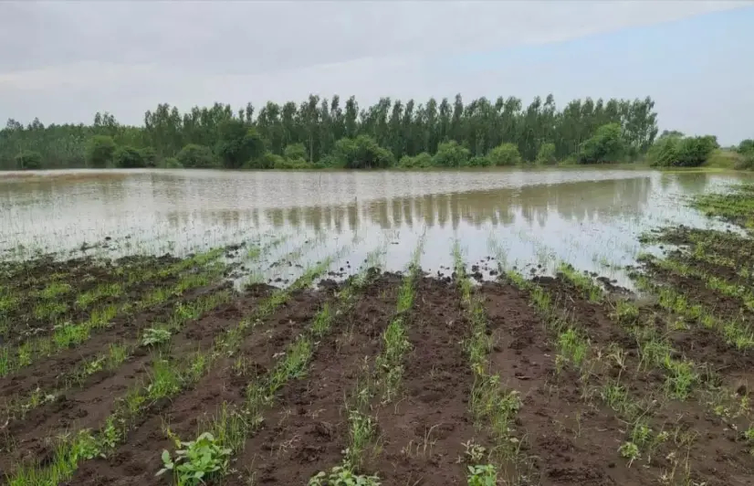 Kaleshwaram lift irrigation project opens a barrage of woes in border villages of Maharashtra