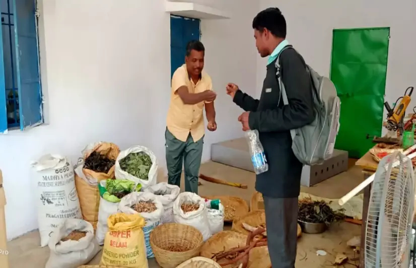 Healers grow 100 rare medicinal plants in Odisha's Mali hills to treat patients from 45 villages