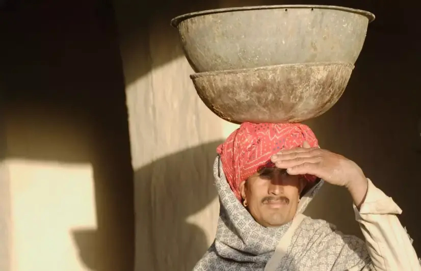 Farmer gains, soil loses as lease system picks up pace in Rajasthan's Shekhawati region