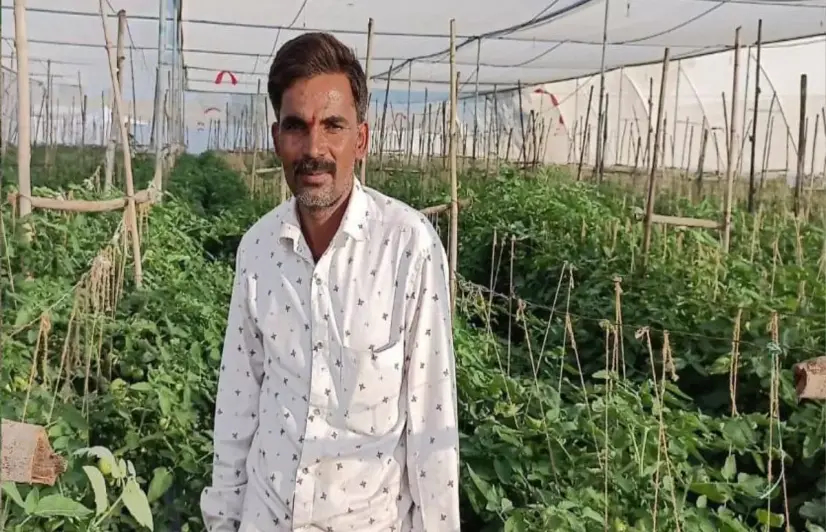Tupewadi embraces change, earns crores from vegetable seed business