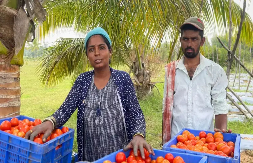 Every drop matters in making Kolar's agricultural landscape sustainable 