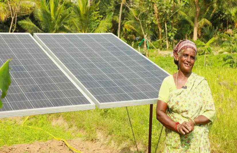 Tamil Nadu’s curious case of queuing up for free farm power, slow subsidised solar transition
