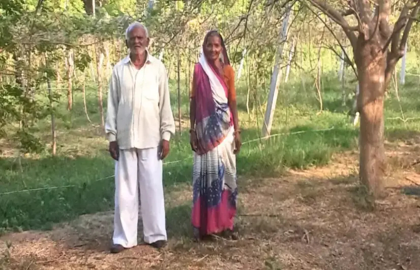 Unconventional sewage treatment plant holds promise for farmers of Gujarat's Padra