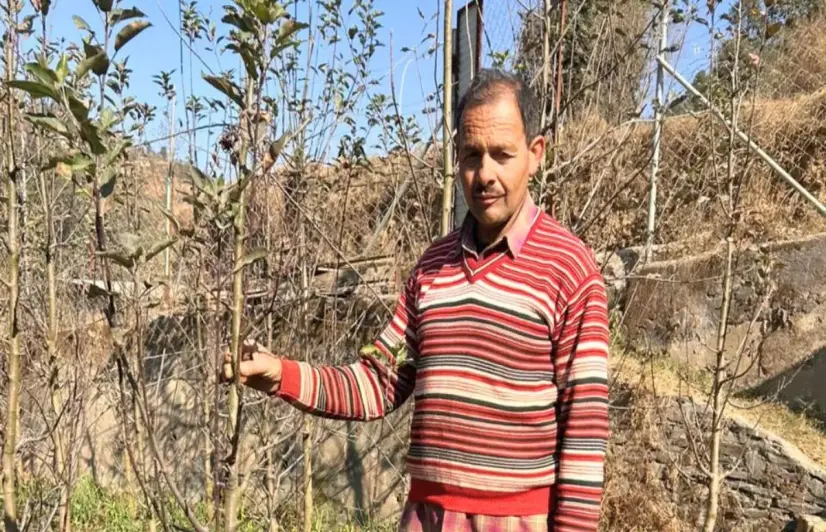 Himachal's natural farming certification faces market blues