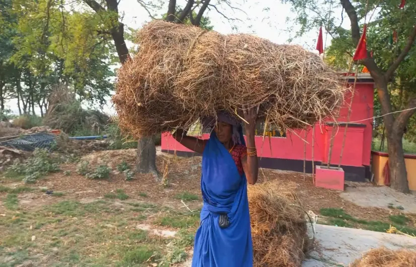 Living on the edge: Farmers in this Bihar district battle river and red tape