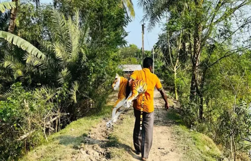No childhood in the mangroves: What is the climate change’s toll on Sundarbans youth 