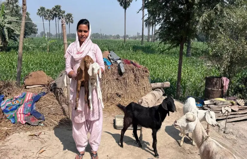 Goats are ATMs Bihar farmers rely on to hedge climate risks