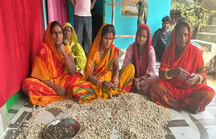 How the women behind makhana’s global rise remain its lowest-paid workers
