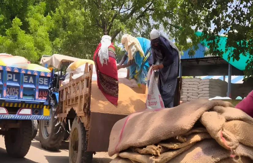In Bundelkhand, wheat farmers can’t afford to wait for MSP
