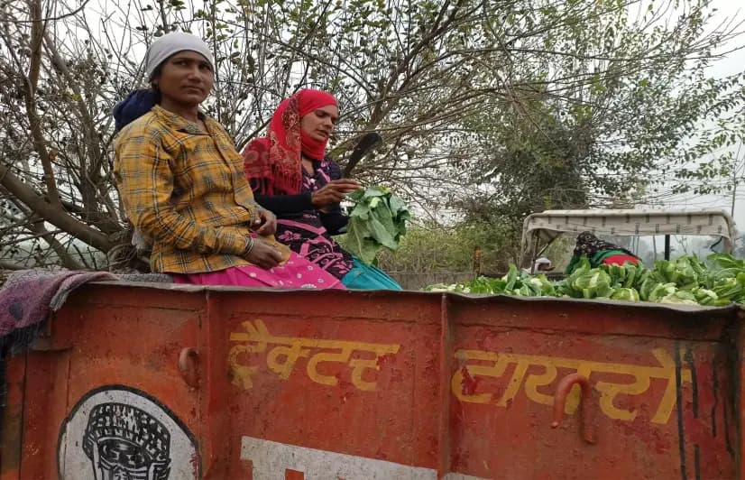 Western UP's farming thrives on female labour
