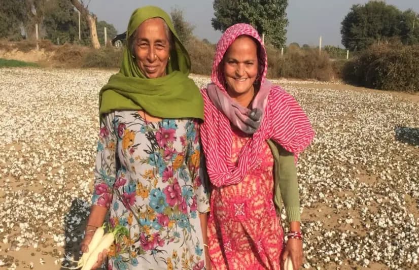 A long tradition of eco-sensitive agriculture helps Bishnois preserve groundwater