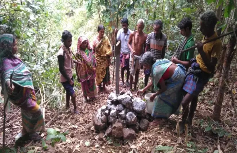 In Nayagarh, villagers have begun to assert total ownership over their forests 