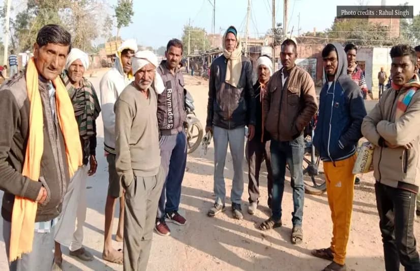 Farmers in Madhya Pradesh wildlife sanctuary troubled by a bird that no longer exists