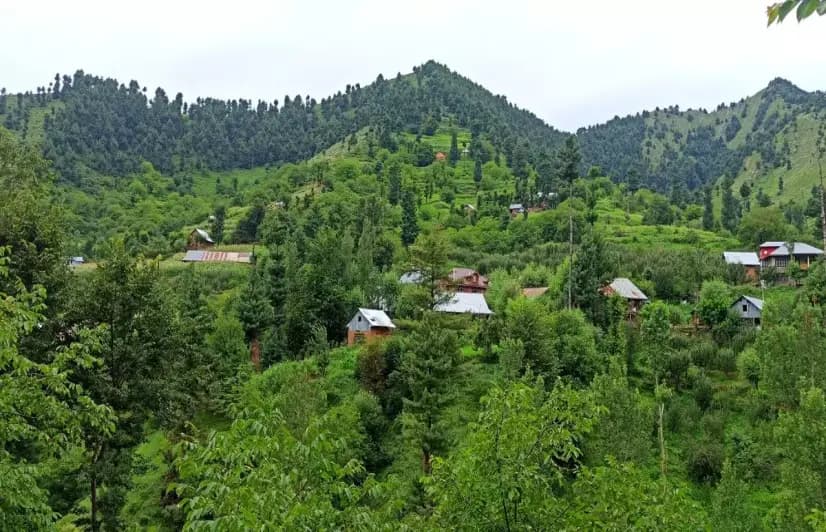 Nightmare in Paradise: Hospitals remain unreachable for these Kashmir villagers
