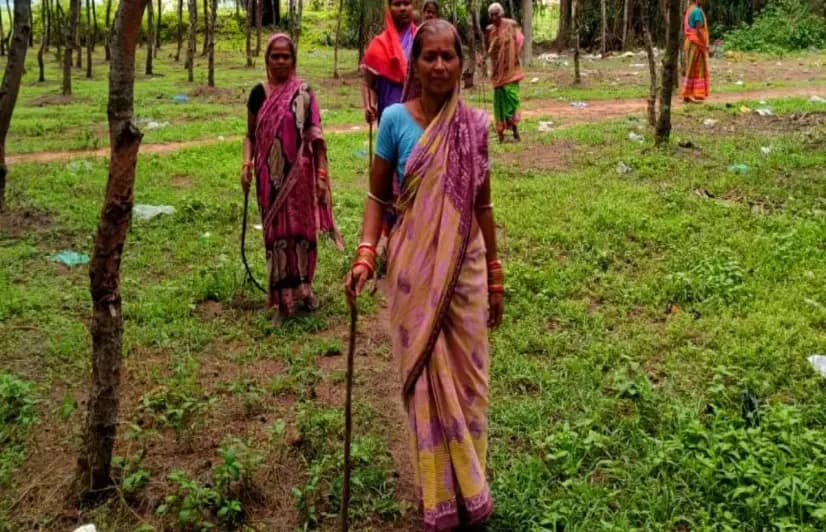 The guardian angels of Odisha’s Gundalba forests