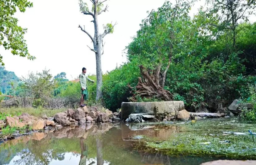 Poor access to forest resources welfare schemes gives juangs of kendujhar a hard time