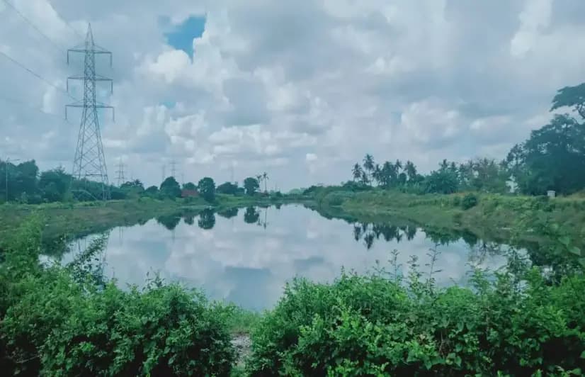 Water, livelihoods dry up for fish farmers of East Kolkata Wetlands