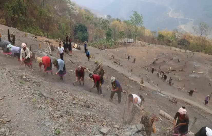 In Nagaland’s Kezoma, an old grain finds new ground