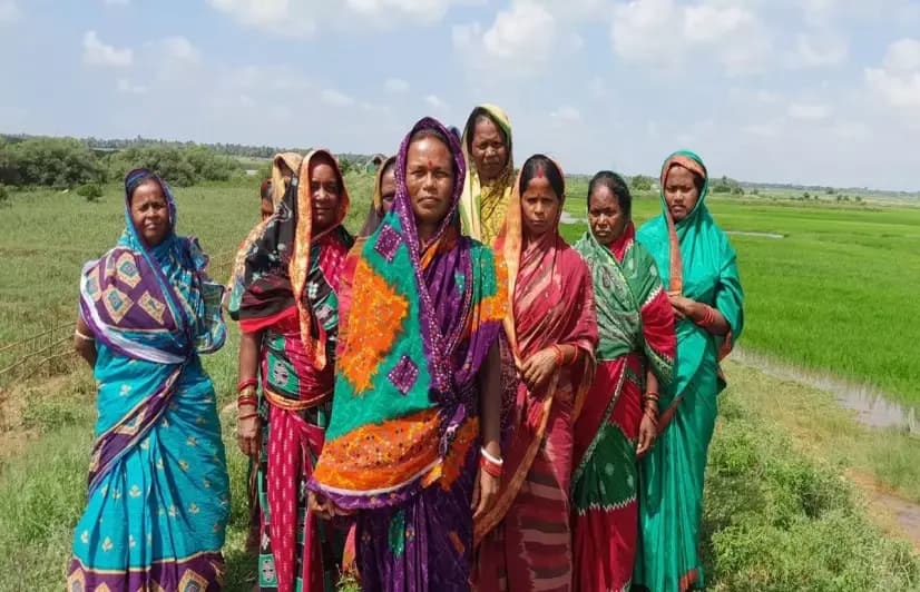 The women mangrove keepers of Jhadling