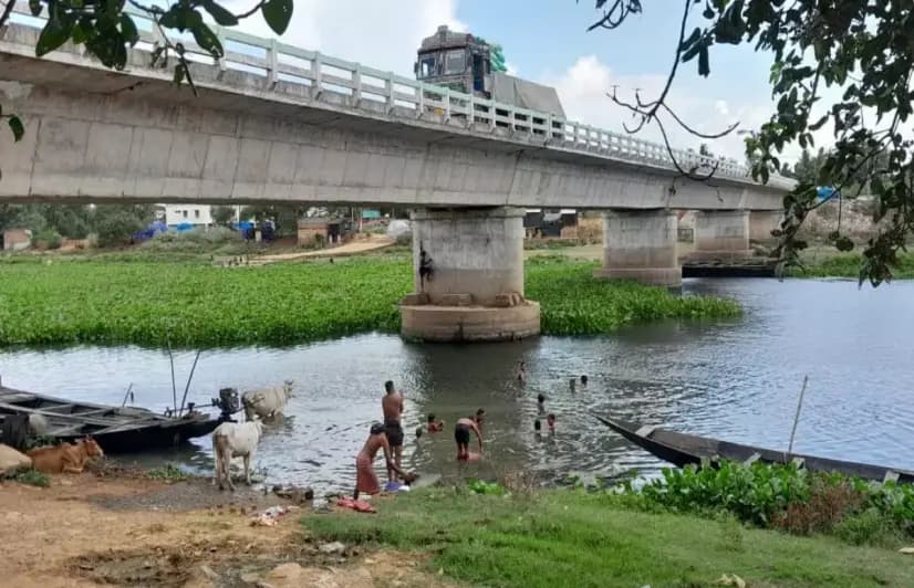 When a river turns toxic: How pollution of the Daya river has turned drinking water into a legal battle in Puri