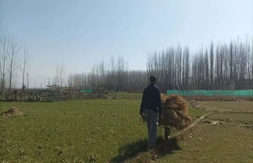 তুষারপাত হ্রাস, অযত্নে পড়ে থাকা খাল সেচের বারোটা বাজাচ্ছে কাশ্মীরে