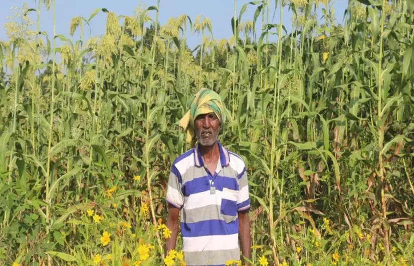 Odisha’s ‘Kashmir’ is warming, and the land is changing with it