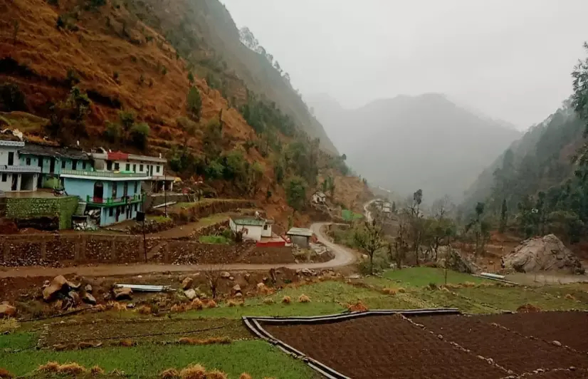 How Uttarakhand farmers' exotic harvest found no takers amid Covid19 lockdown