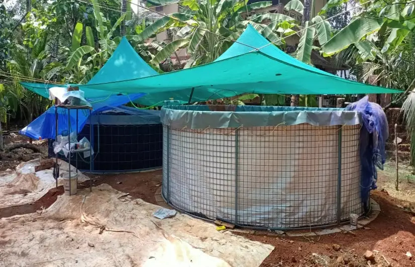 Aquaculture ‘entrepreneurs’ lured by YouTube videos increasingly end up in trouble