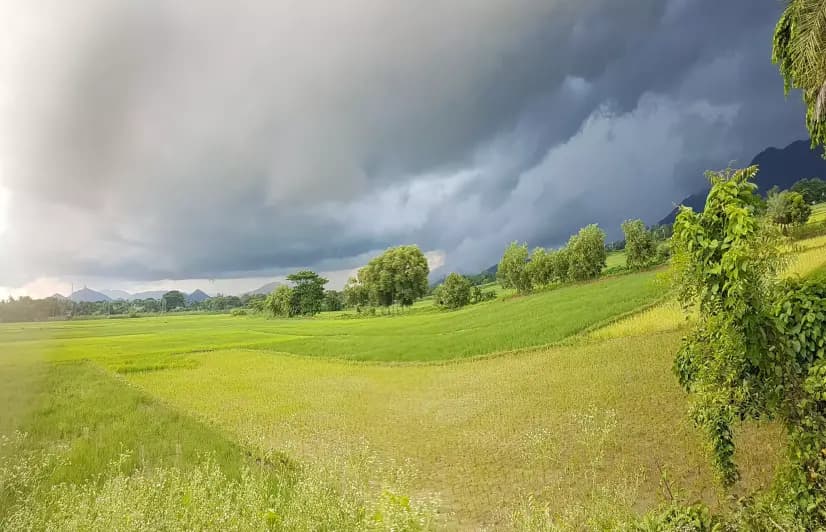 Odisha farmers making more money, spend on tractors