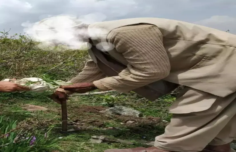 Medicinal plants in Kashmir on verge of extinction