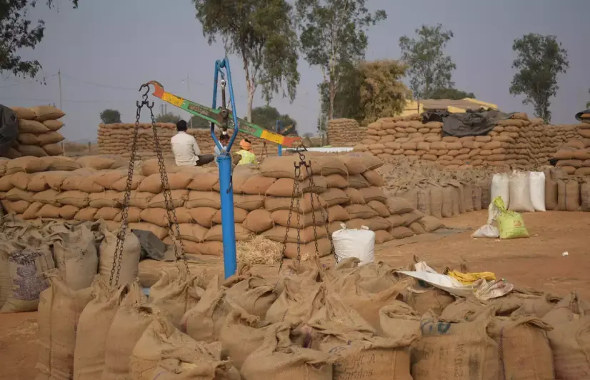 Paddy Farmers in C'garh: Caught in the fire of political rivalry?