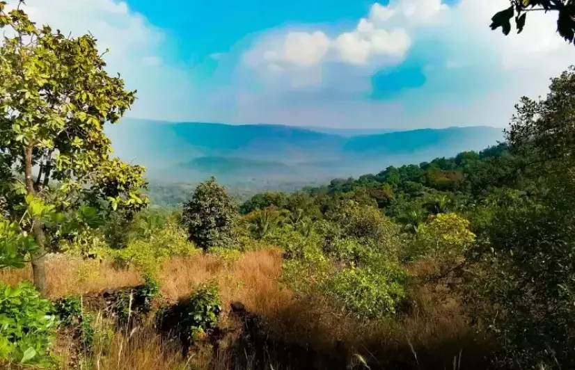 Karnataka government okays rail line in the Western Ghats