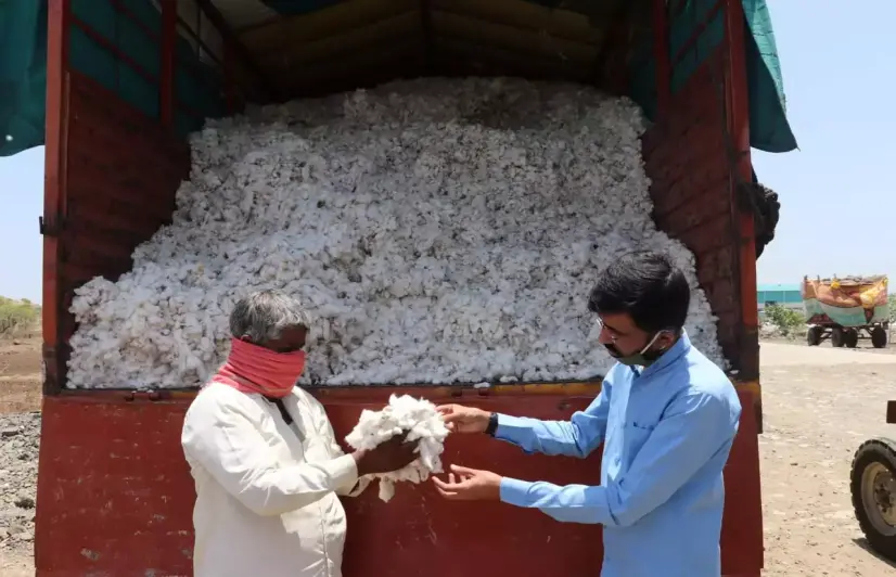 Covid-19 worsens plight of cotton farmers in Marathwada